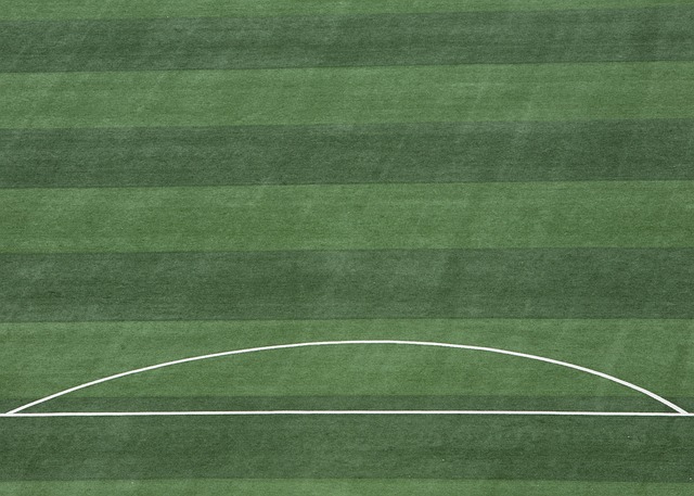 术和现代化 术和现代化