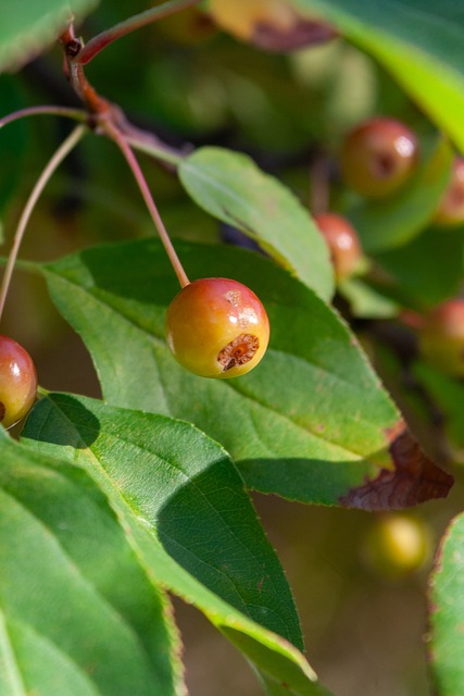 位置始終存 位置始終存