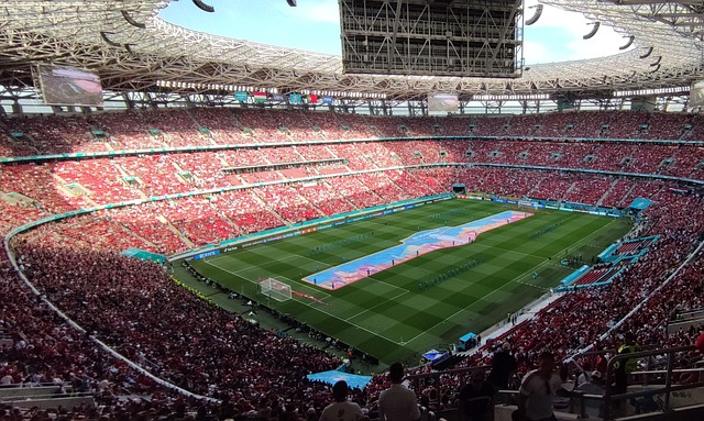 赛的执着 赛的执着