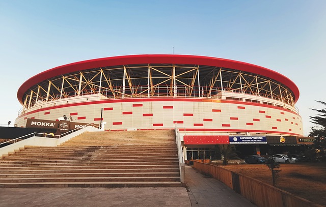 没有给予对 没有给予对